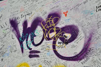 DSC_7114 (Large).JPG